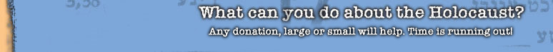 Donate to the Survivor Mitzvah Project and help an elderly survivor of the Holocaust